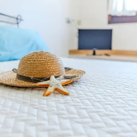 Apartament Ondallegra